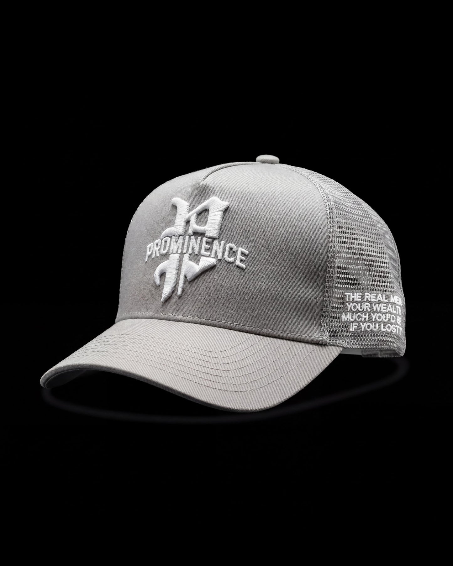 GREY "WEALTH" CAP
